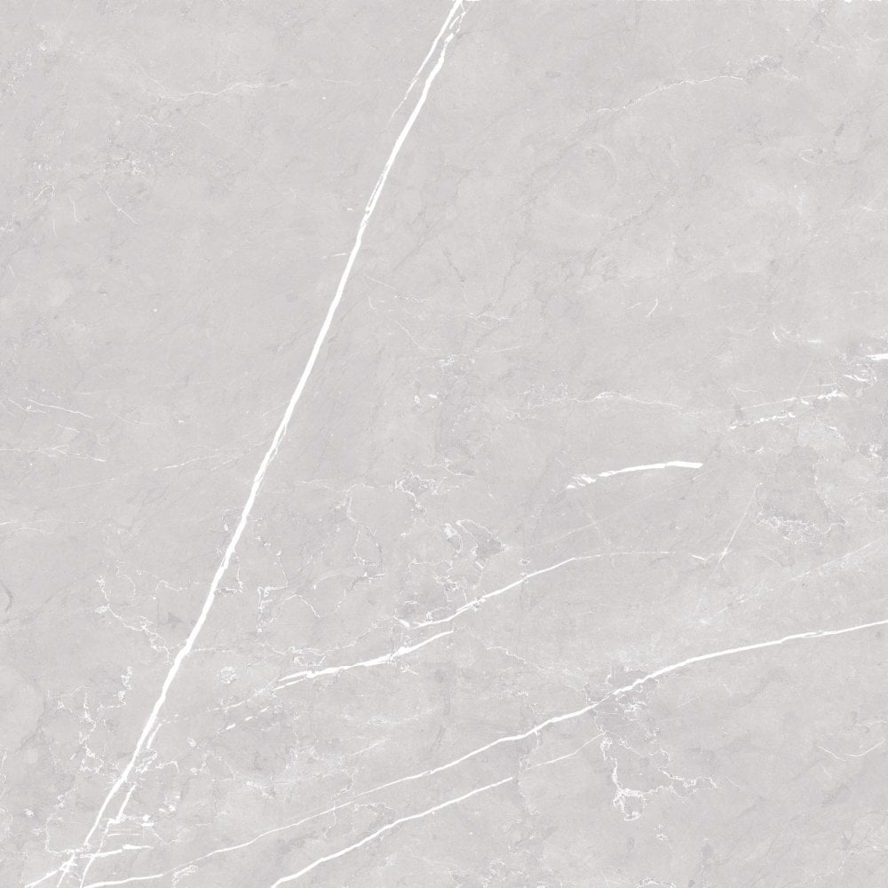 Antigua Silver 80cm x 80cm Floor Tile