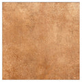 Asturias Cotto 20cm x 20cm Wall & Floor Tile