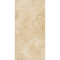 Aurum Ebur 60cm x 120cm Wall and Floor