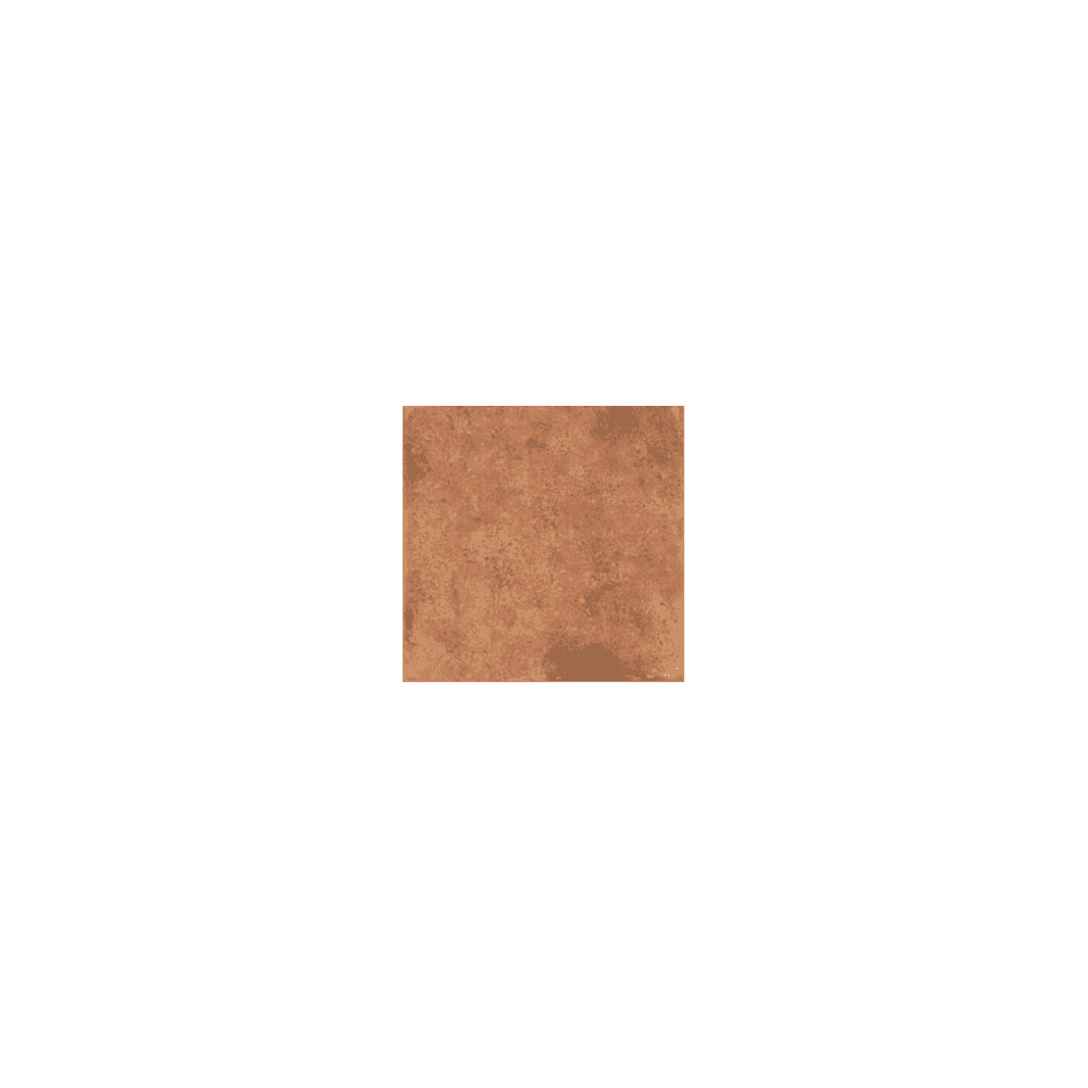 Barro Cotto 20cm x 20cm Wall and Floor Tile