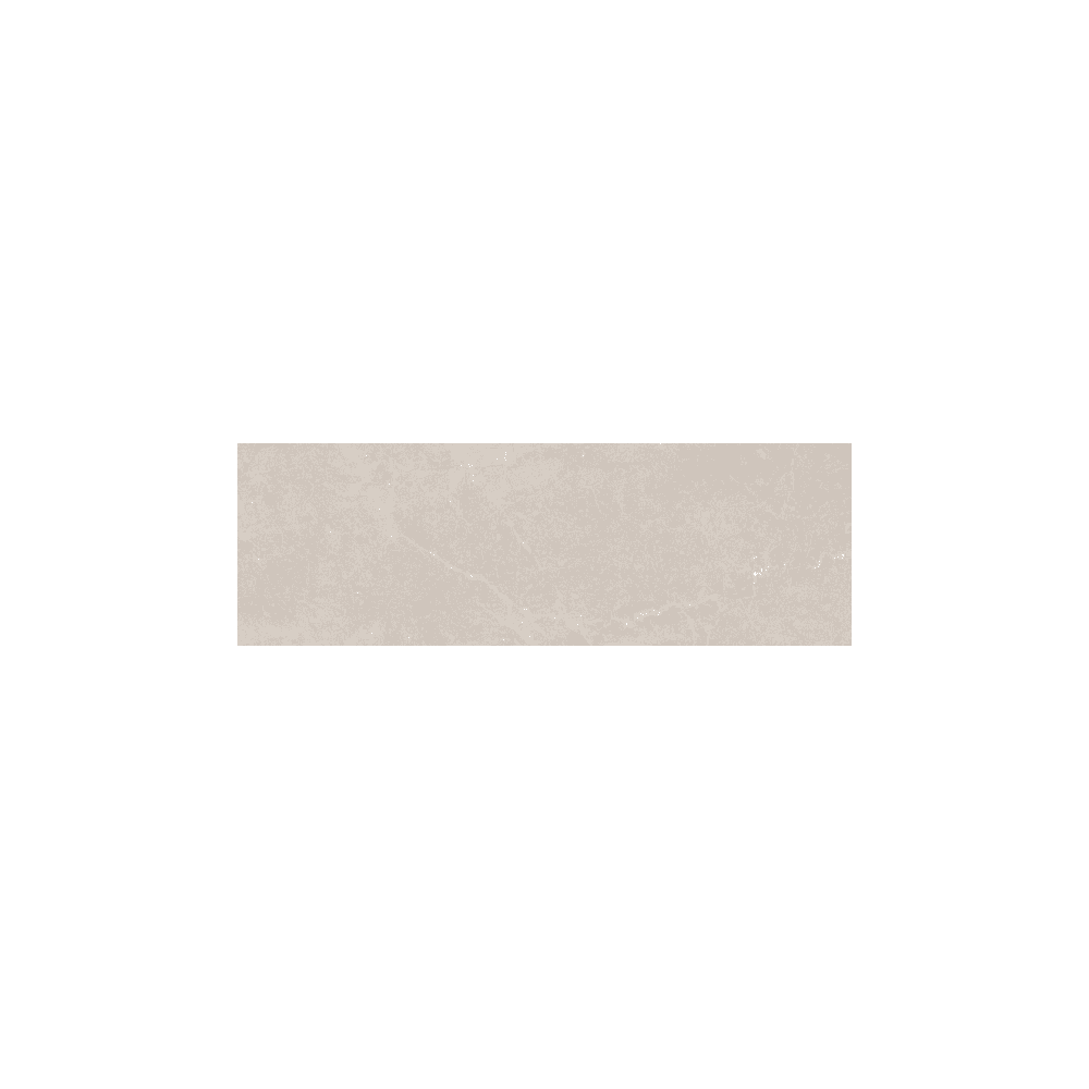 Bleuemix Taupe 40cm x 120cm Wall Tile