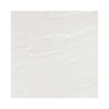 Bonita Bone Porcelain 60cm x 60cm Wall & Floor Tile