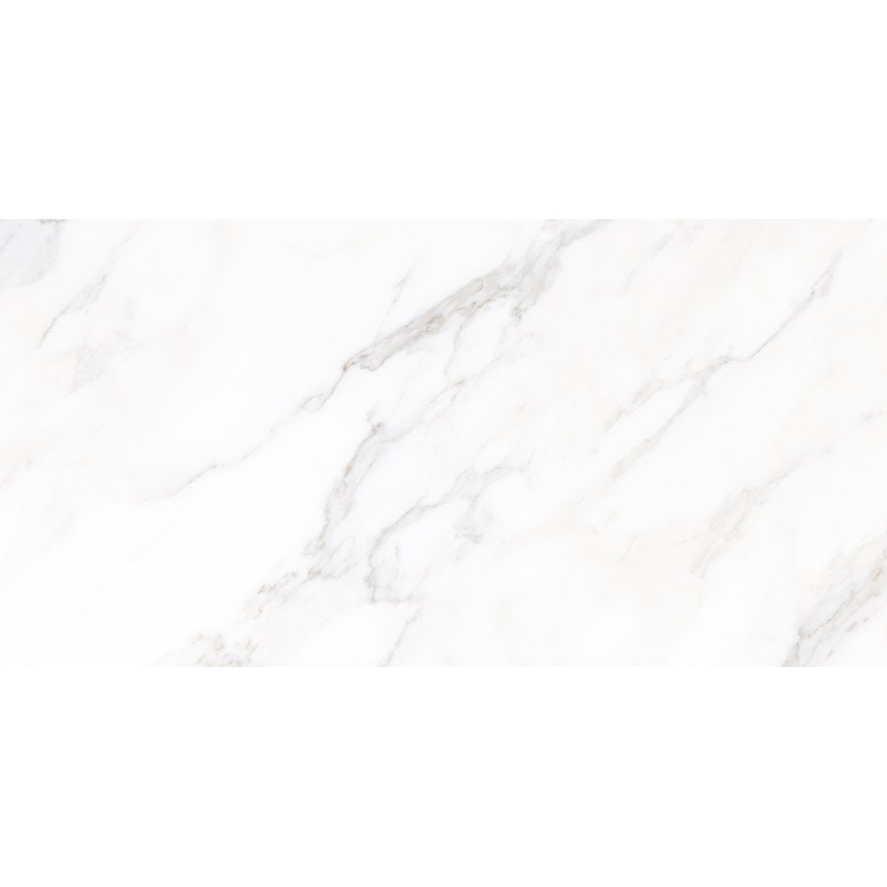 Calacatta Michael Matt 60cm x 120cm Wall and Floor Tile