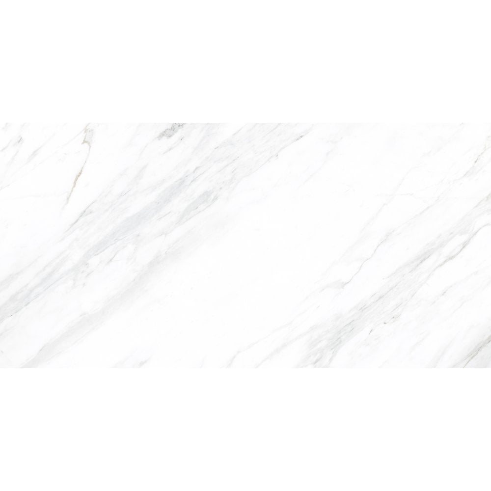 Carrara Classico Matt 60cm x 120cm Wall & Floor Tile