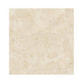 Cosy Pastel Polished 60cm x 60cm Floor Tile