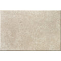 Dijon Gold 60cm x 90cm Wall & Floor Tile