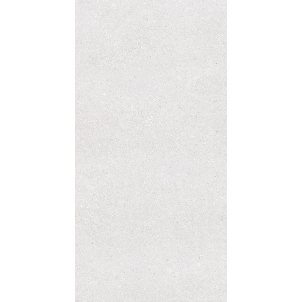 Earding Bianco R10 60cm x 120cm Wall & Floor Tile