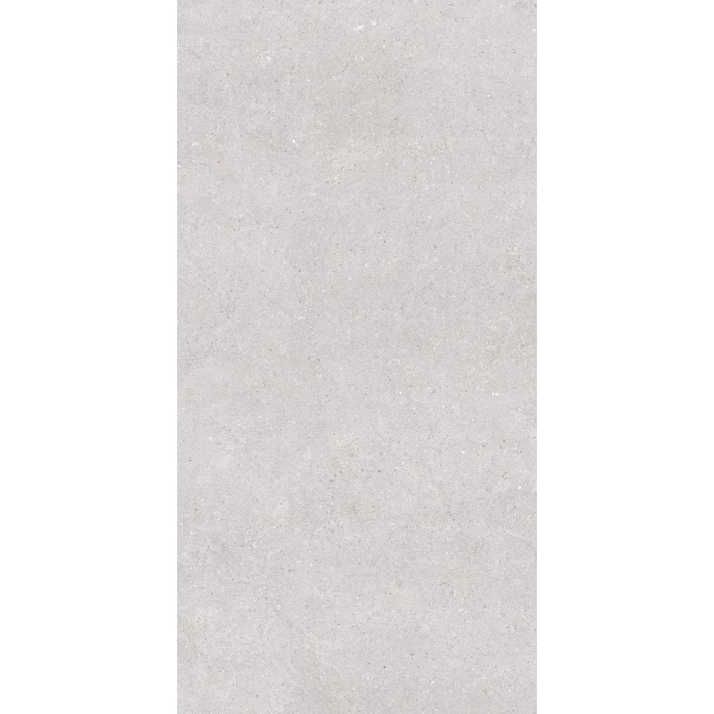 Earding Grey R10 60cm x 120cm Wall & Floor Tile
