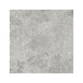 Florys Light Grey Matt 59.8cm x 59.8cm Wall and Floor Tile
