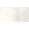 Hemisphere Platinum 60cm x 120cm Wall and Floor Tile