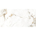 Holland Ice Matt Wall & Floor Tile 30cm x 60cm