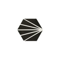Lily Hex Hexagon Black 22.8cm x 19.8cm Wall & Floor Tile