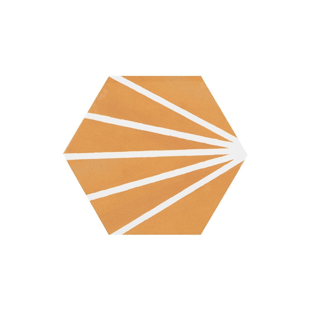 Lily Hex Hexagon Blaze Orange 22.8cm x 19.8cm Wall & Floor Tile