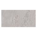 MetalShine Planet Grey 60cm x 120cm Wall and Floor Tile