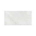 Omega White 31.6cm x 60.8cm Wall & Floor Tile