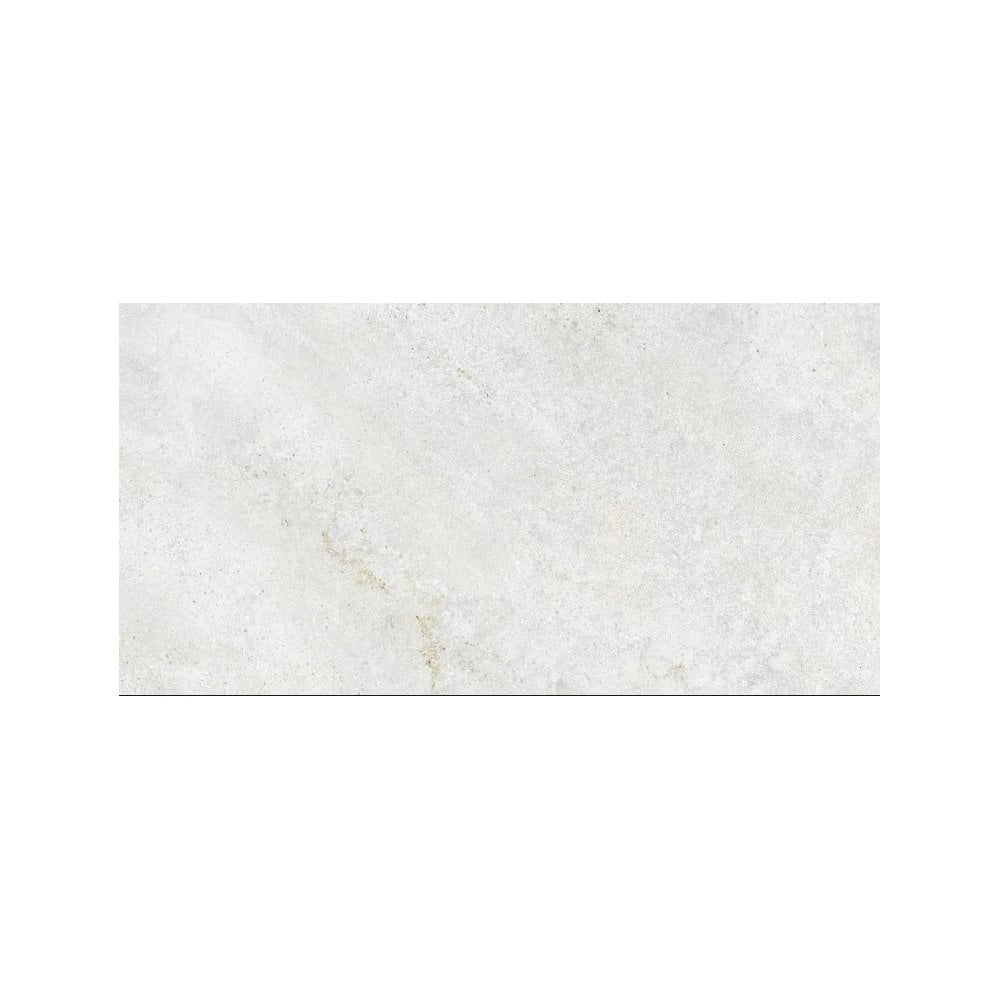 Omega White 31.6cm x 60.8cm Wall & Floor Tile