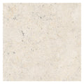 Pietra De Medici Uffizi White 90cm x 90cm Wall and Floor Tile