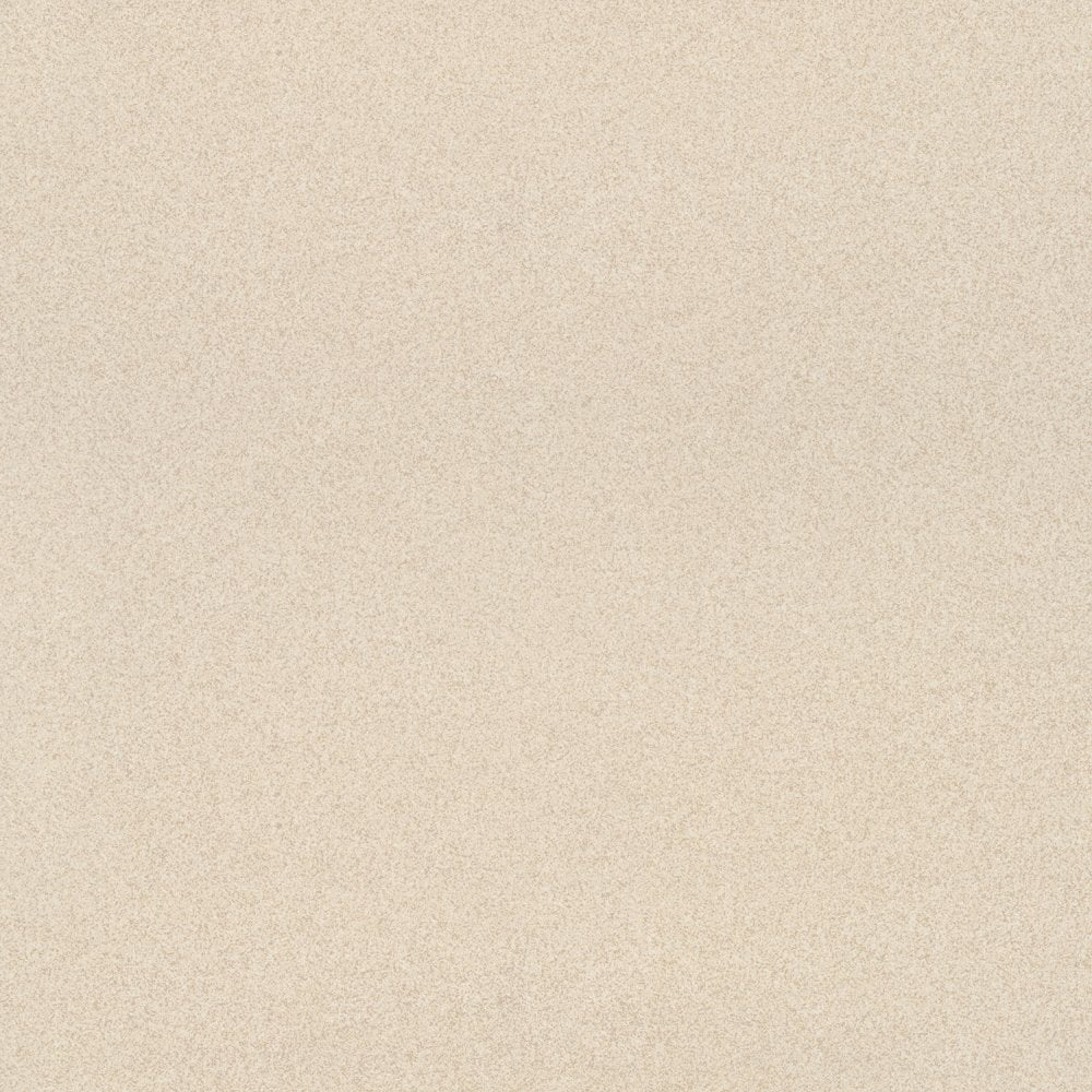 Salt and Pepper Cream 60cm x 60cm Wall and Floor Tile