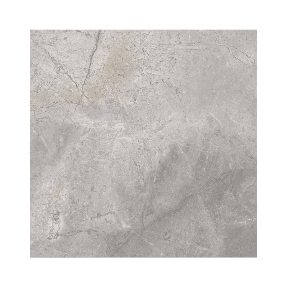 Serenity Silver Polished 60cm x 60cm Wall & Floor Tile