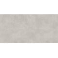 Stamford Light Grey Matt 59.8cm x 119.8cm Wall and Floor Tile
