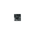Taco Bastia Black 4cm x 4cm Wall & Floor Tile