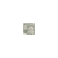 Taco Bastia Verde 4cm x 4cm Wall & Floor Tile