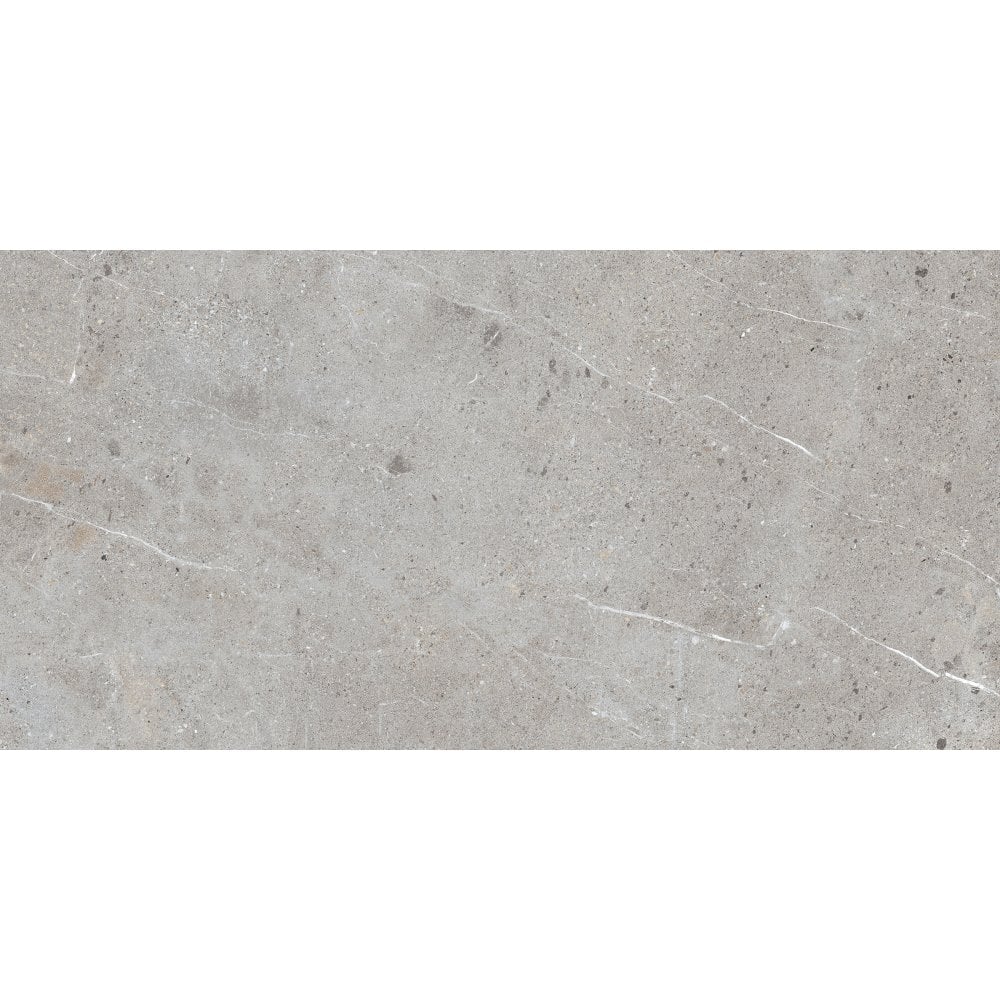 Unika Grey 60cm x 120cm Floor Tile